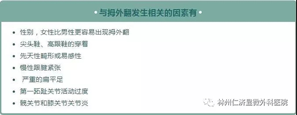 640.webp (4)
